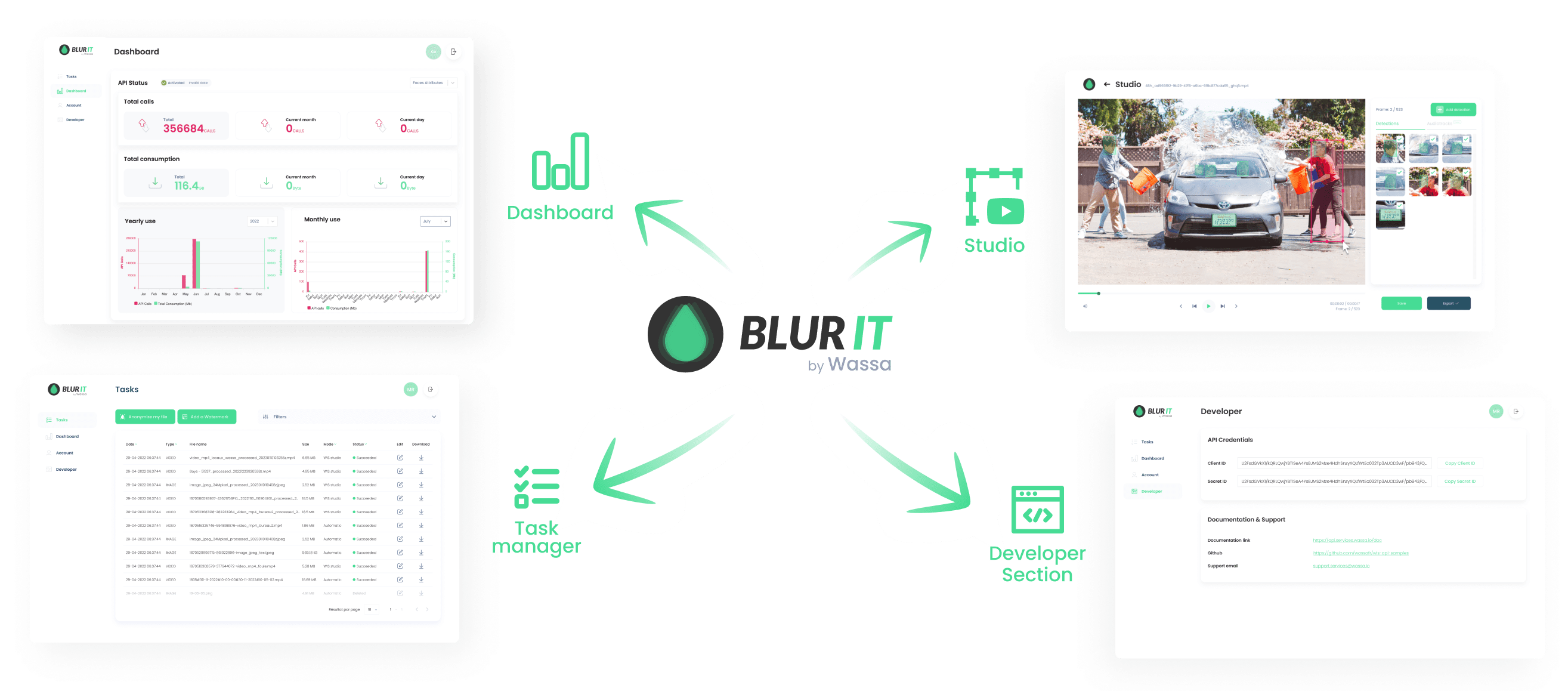 blurit plugin wordpress